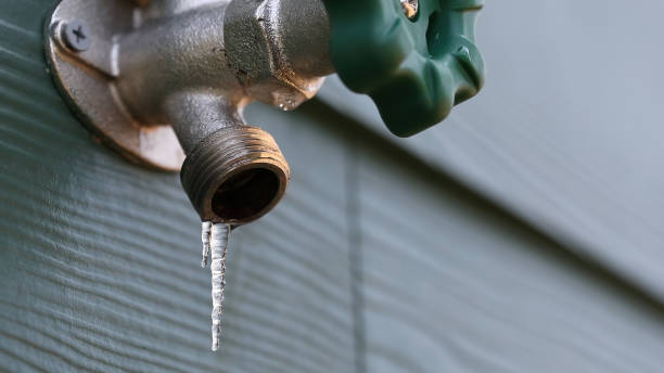 Best Shower Repair Services  in Collegeville, PA